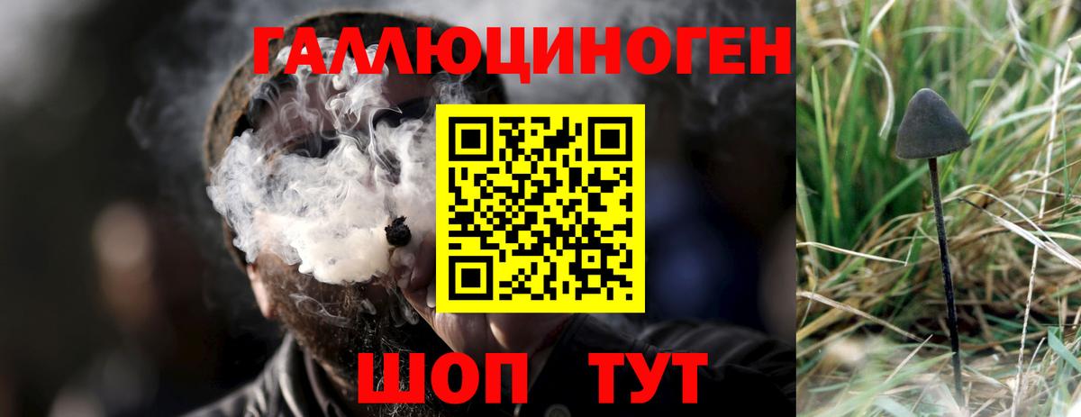 Галлюциногенные грибы Psilocybe  Псилоцибиновые грибы ЛСД  Тула  Вход с VPN 